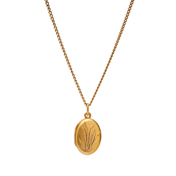 Antique Aesthetic Movement 15k Cat Tail Motif Locket Pendant
