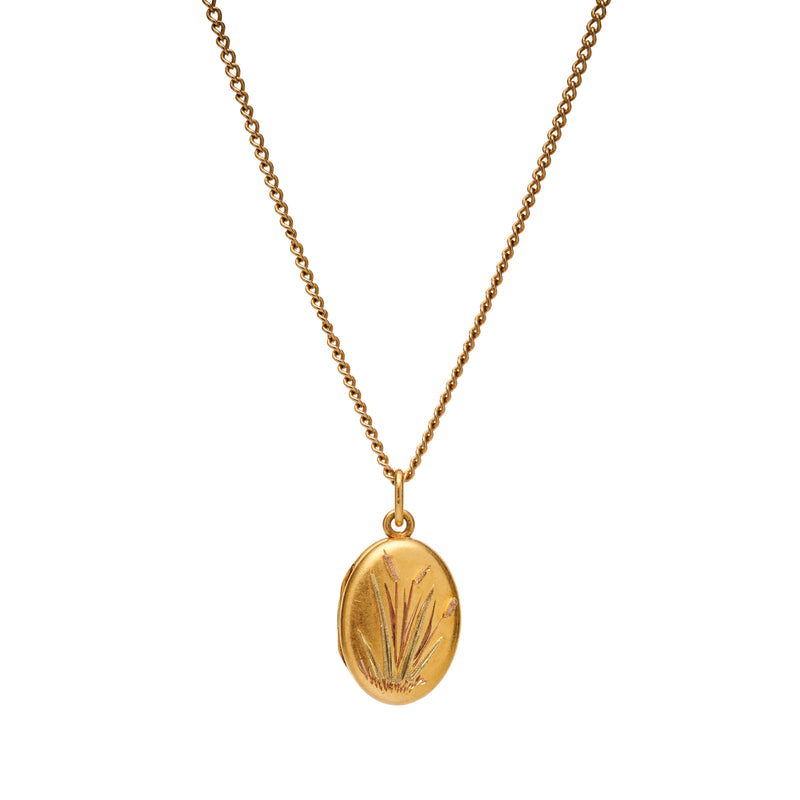 Antique Aesthetic Movement 15k Cat Tail Motif Locket Pendant