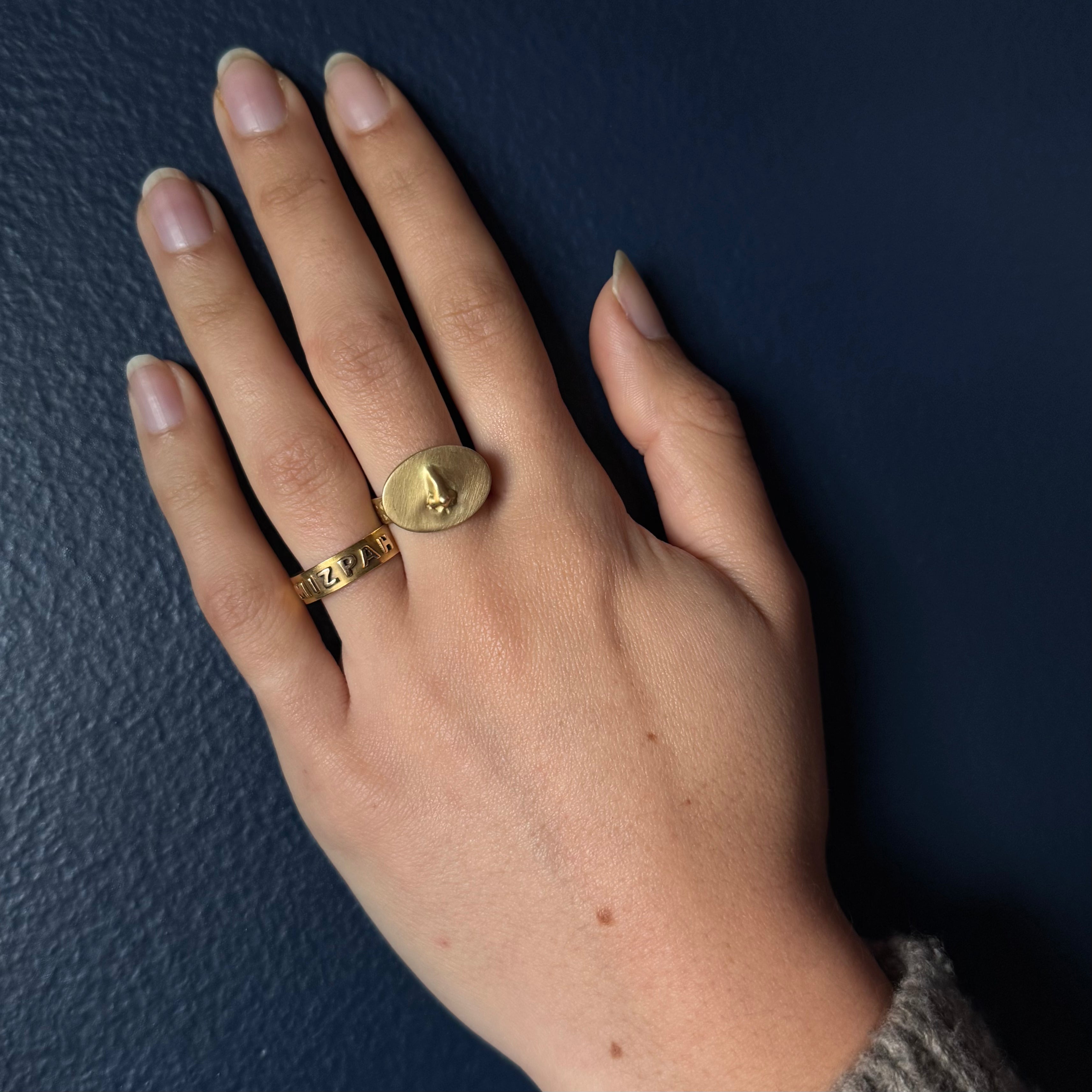 Gabriella Kiss 18k Nose Token Ring “In Medias Res”